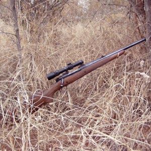 Winchetsre 70 pre-64 from 1958 with Leupold 1-5x20