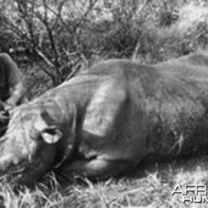 Finn Aagaard, A Great Hunter with Rhino
