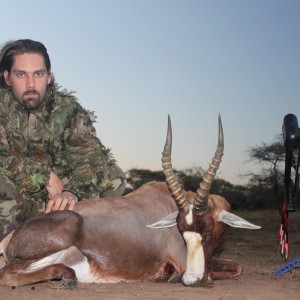 Bowhunting Blesbok South Africa