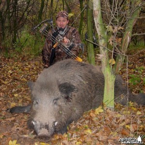 The biggest wild boar I ever shot