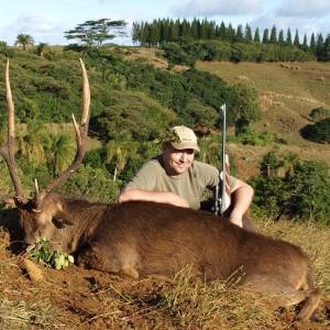 Rusa deer hunted in Mauritius