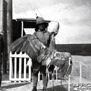 Theodore Roosevelt with a whale-billed stork at Lake No.