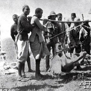 Theodore Roosevelt weighing a lioness shot by him