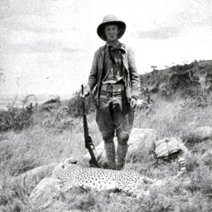 Kermit Roosevelt and cheetah shot by him
