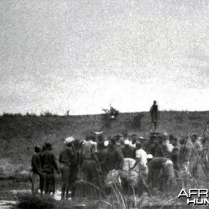 Theodore Roosevelt, rolling out the hippo