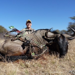 Bowhunting Blue Wildebeest South Africa