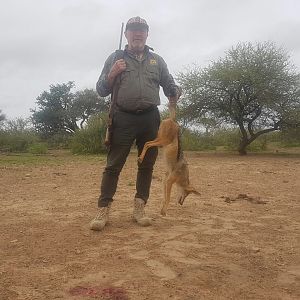 Hunting Jackal South Africa