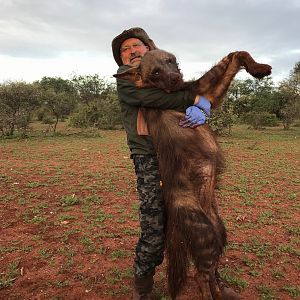 South Africa Hunt Brown Hyena