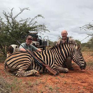Burchell's Plain Zebra Hunt in South Africa