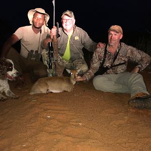 Hunting Steenbok South Africa