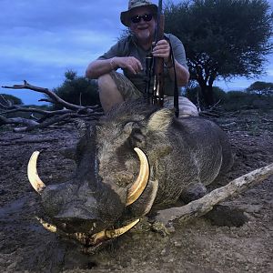 Warthog Hunting in South Africa