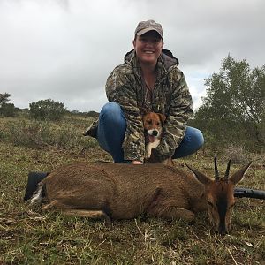 South Africa Hunt Bushbuck