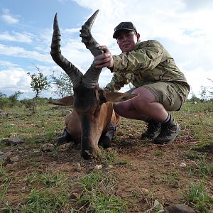 Namibia Hunt Red Hartebeest