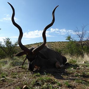 Kudu Hunting in Namibia