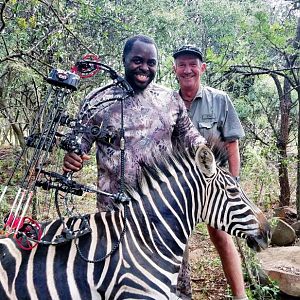 South Africa Bow Hunting Burchell's Plain Zebra