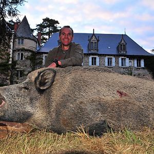 France Hunt Wild Boar