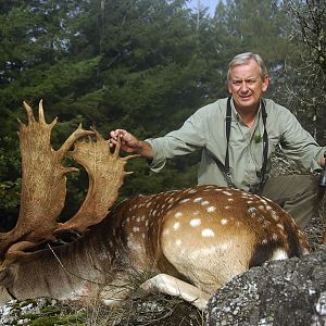Fallow Deer Hunting in France