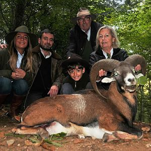 France Hunting Mouflon