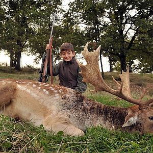 France Hunting Fallow Deer