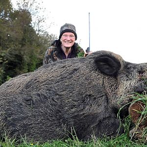 Hunt Wild Boar France