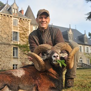 France Hunt Mouflon