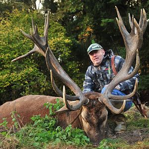 Red Stag Hunt in France