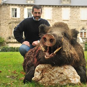 Hunting Wild Boar France