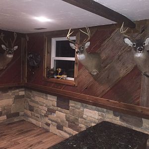 My trophy/mancave/bar room