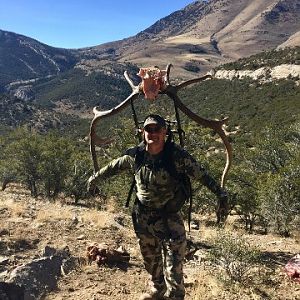 Elk Hunt Nevada