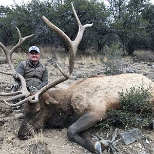 Nevada Hunting Elk