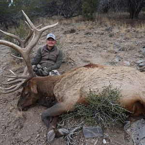 Hunt Elk in Nevada