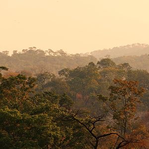 Zambia Lanscape