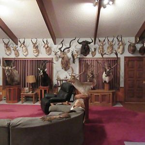 Trophy Room