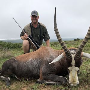 Blesbok Hunt in South Africa