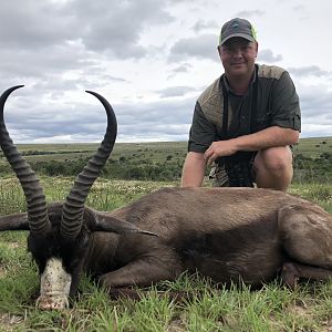 Hunt Black Springbok South Africa