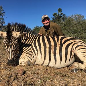 Burchell's Plain Zebra South Africa