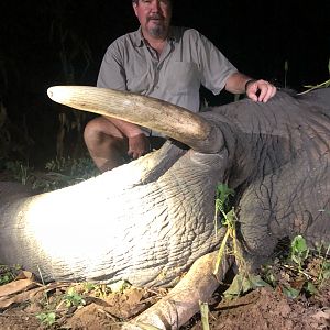 Zimbabwe Hunt Elephant