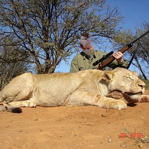 South Africa Hunting Lioness