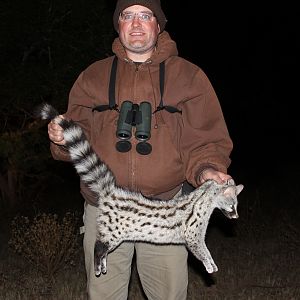 Civet Cat Hunting in South Africa