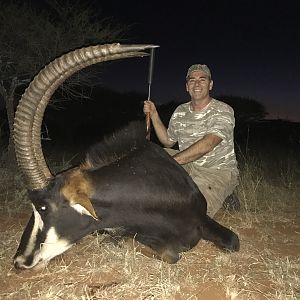 Sable Antelope Hunt in South Africa
