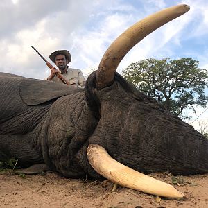 Zimbabwe Hunt Elephant