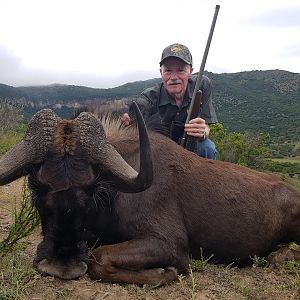 Black Wildebeest Hunting in South Africa