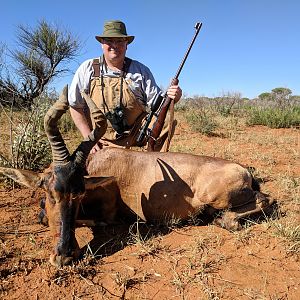 Namibia Hunting Red Hartebeest