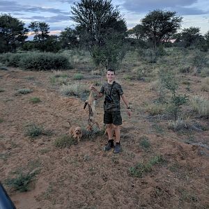 Hunt Jackal Namibia