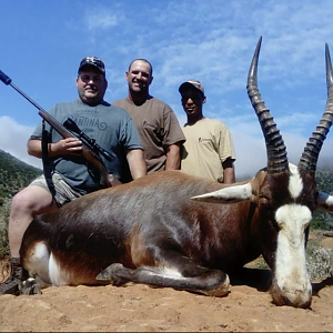 Hunting Blesbok 3S Safaris