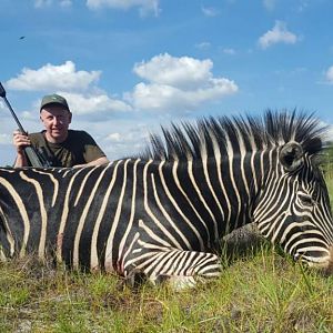 South Africa Hunting Burchell's Plain Zebra