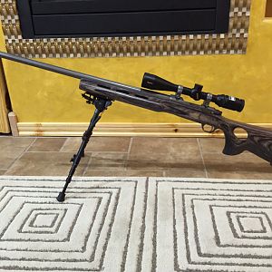 204 Ruger Rifle
