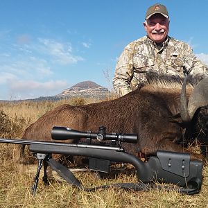 South Africa Hunting Black WIldebeest