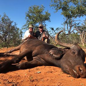 Cape Buffalo Cow Hunt in South Africa