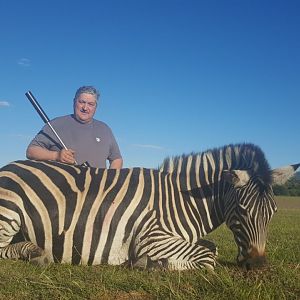 Burchell's Plain Zebra Hunt in South Africa